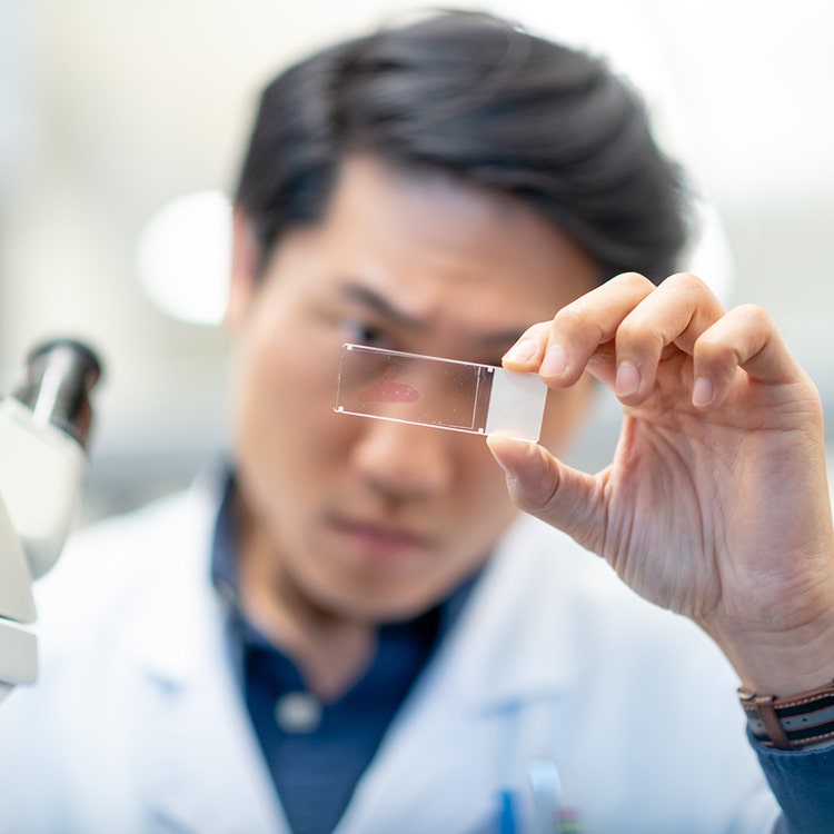 Selective focus shot of a Korean chemist&#39;s hand as he holds a slide containing a medical sample. The man is analyzing the test sample and has a serious expression on his face. He is about to place the sample in a microscope for further analysis.