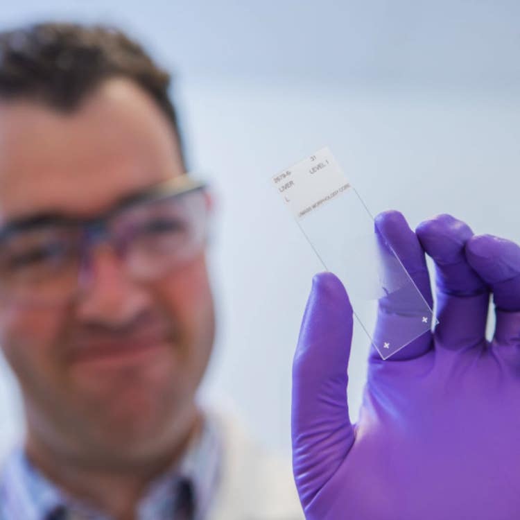 Man looking at slide and smiling
